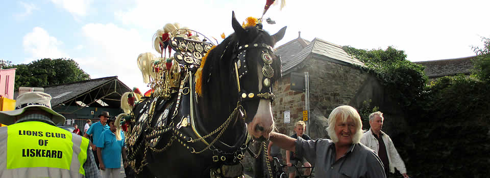 Shire horse at Liskeard Carnival Float